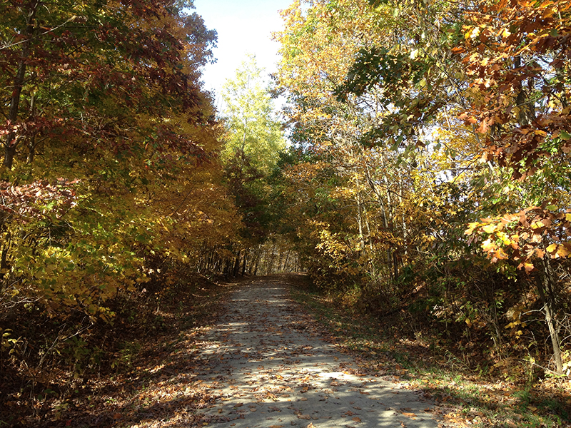 montour-trail-3-vincent-troia-october-2014.jpg